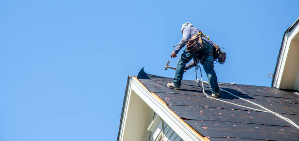 Best Roof Gutter Cleaning  in Somers Point, NJ